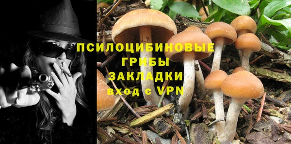 apvp Белоозёрский