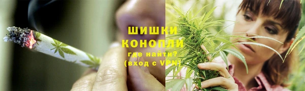 тгк Богородск