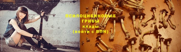 a pvp Богородицк