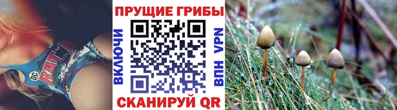Галлюциногенные грибы MAGIC MUSHROOMS  Баксан 